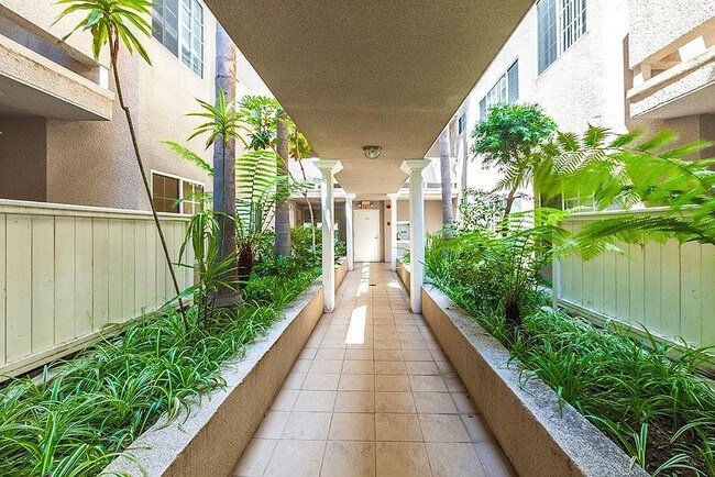 First Floor Courtyard - 1228 14th St