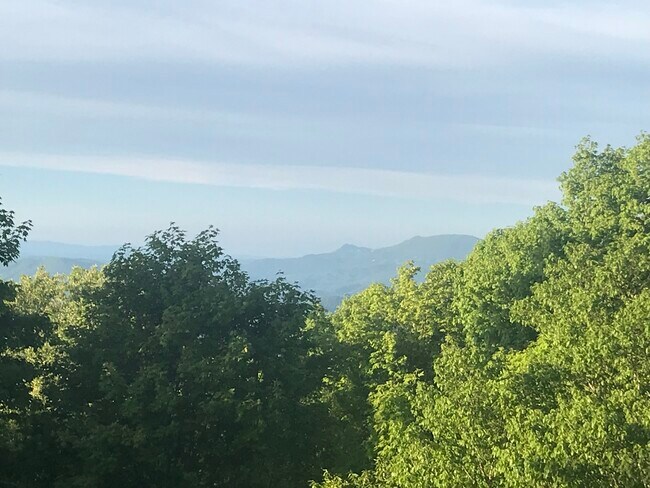 Foto del edificio - 111 Courtside Ln