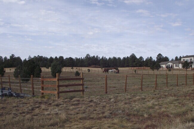 Building Photo - 234 Thistle Dr