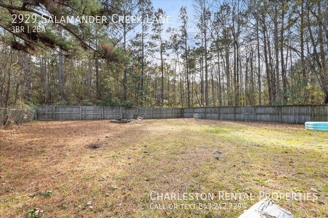 Building Photo - 2929 Salamander Creek Ln