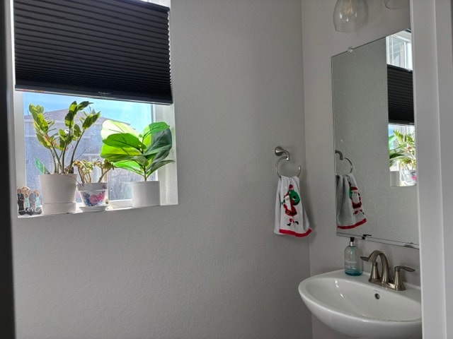 Foto del edificio - 2828 Low Meadow Blvd