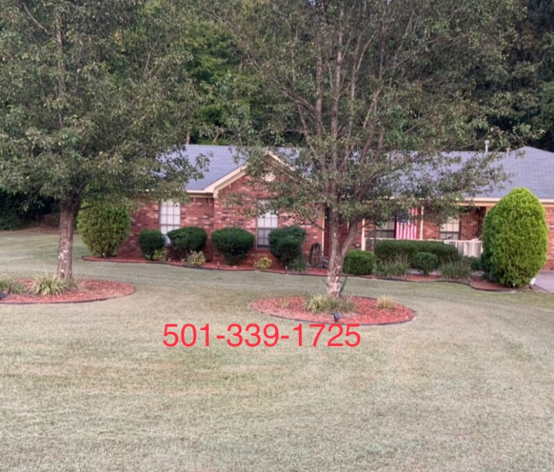 20 Hamlett Dr, Vilonia, AR 72173 House Rental in Vilonia, AR