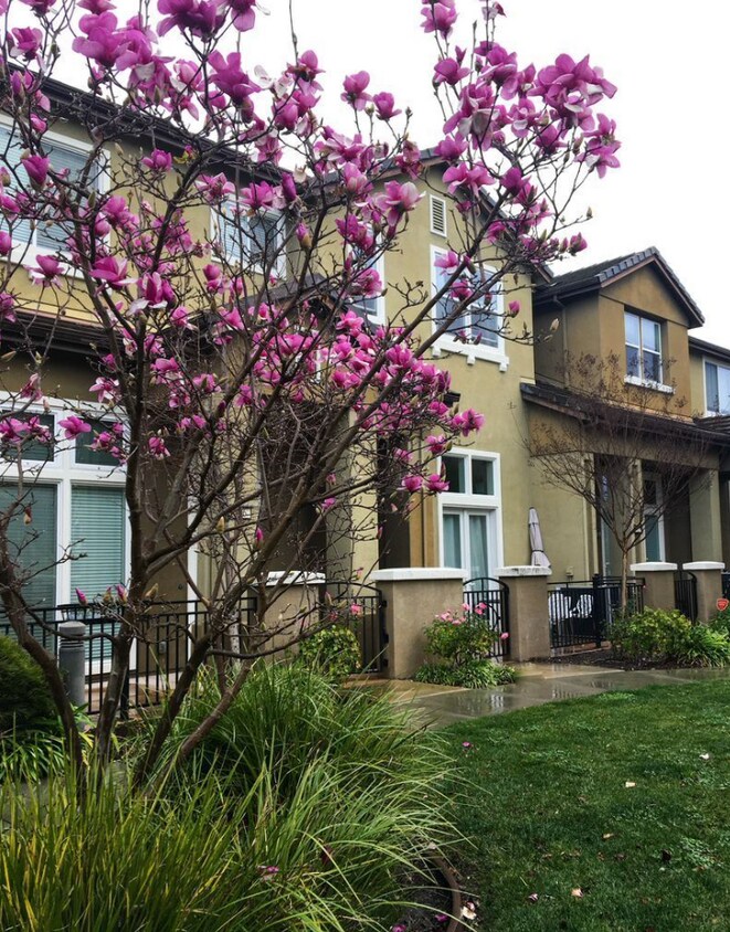 1192 Gliessen Ter, Sunnyvale, CA 94089 Townhome Rentals in Sunnyvale CA