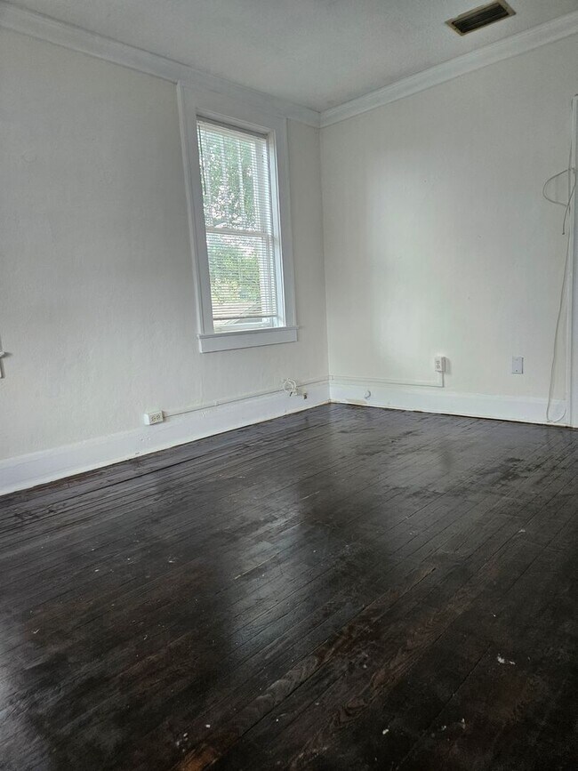 Foto del edificio - 1 Bed/1 Bath Apartment across from Hillsbo...
