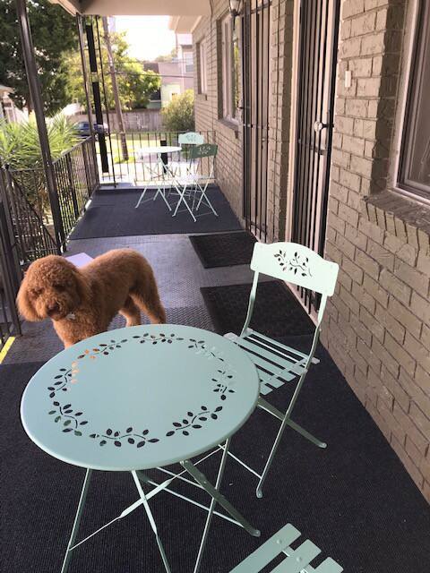 Front porch (shared with unit C) - 3727 Iberville St