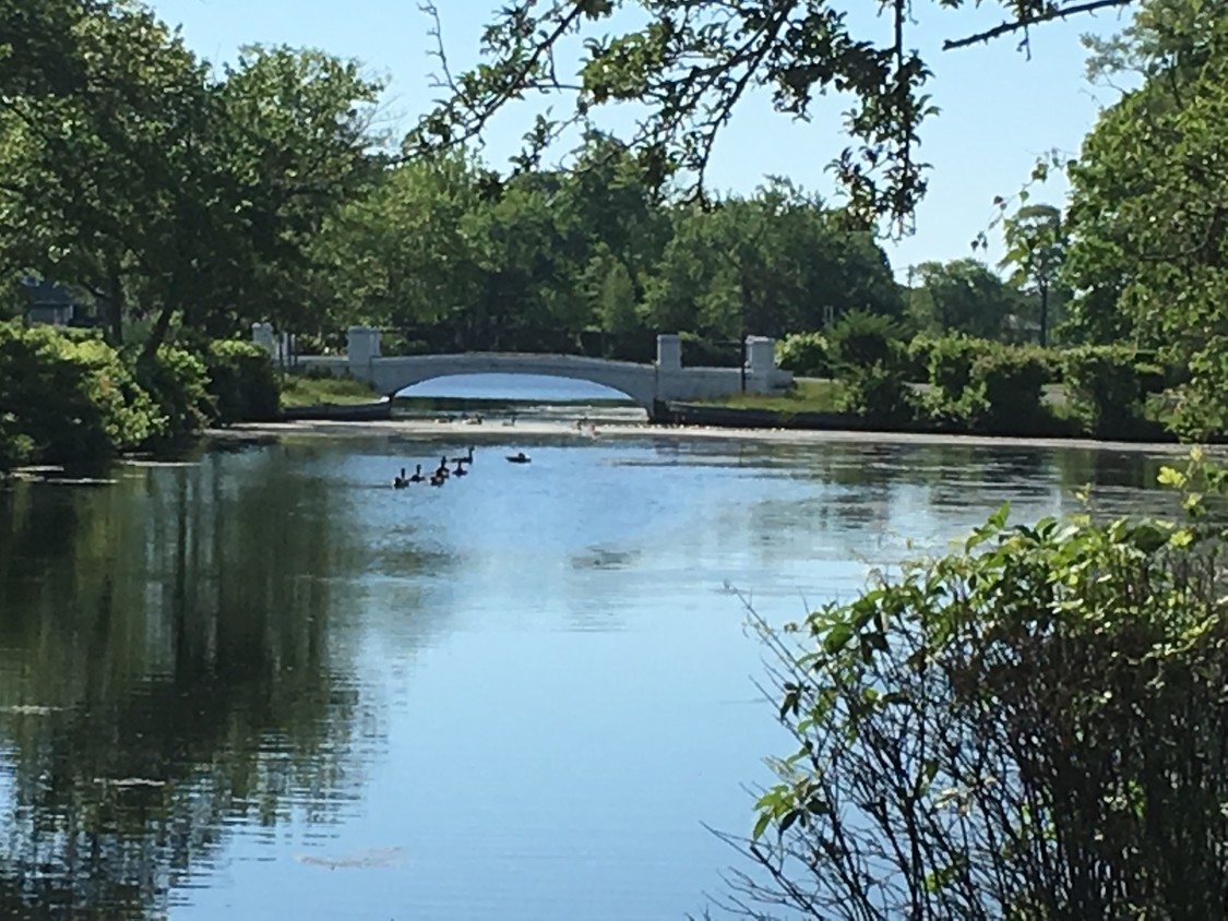 Paisaje de Brightwaters - Fairfield At The Village Of Brightwaters