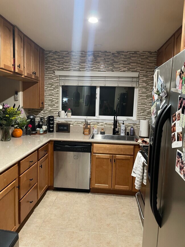 Kitchen (stainless steel appliances) - 225 Burt St