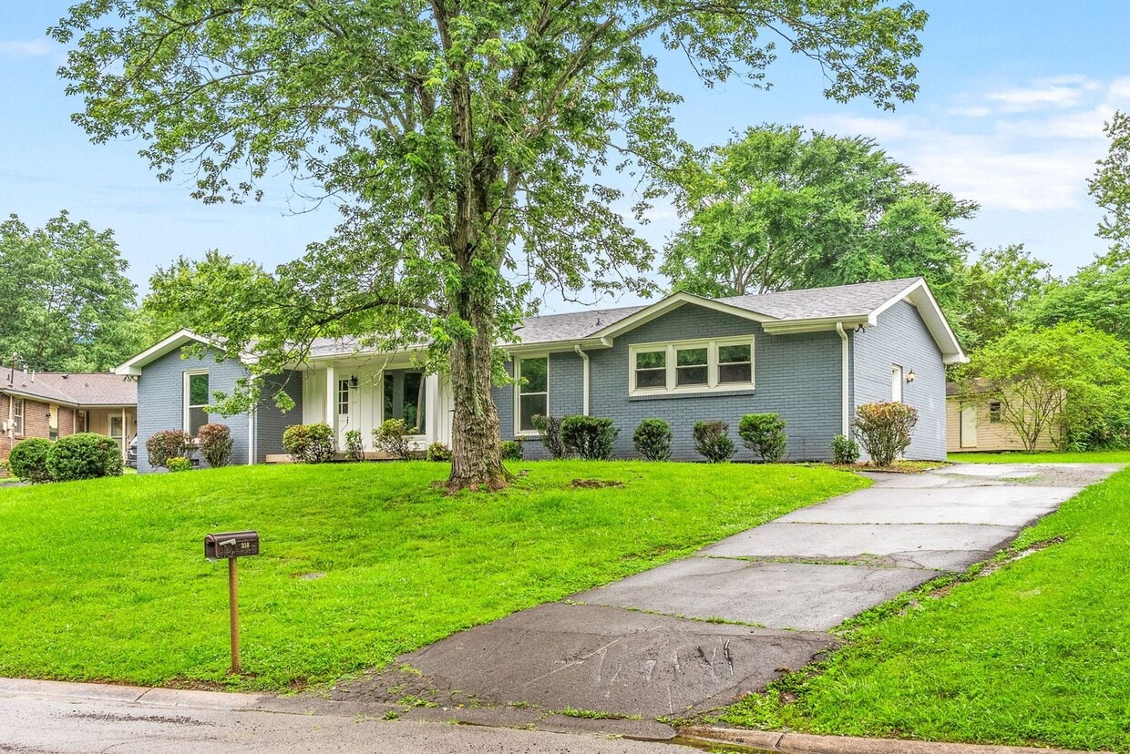 Primary Photo - Beautiful Pet Friendly 3 bedroom home for ...
