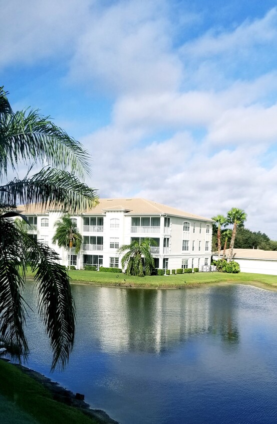 Vista desde el comedor. - 800 San Lino Cir