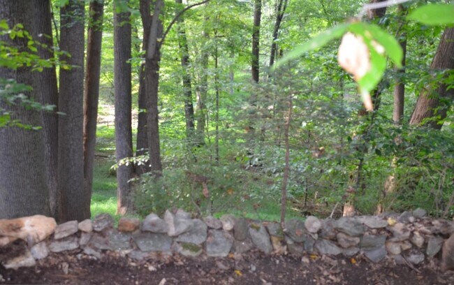 Back Yard - 10124 Hobsons Choice Ln