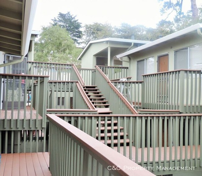 Foto del edificio - Quiet New Monterey Apartment