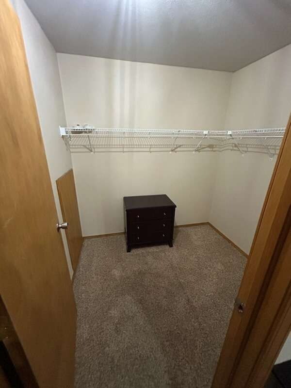 Building Photo - 5413 Marabou Way