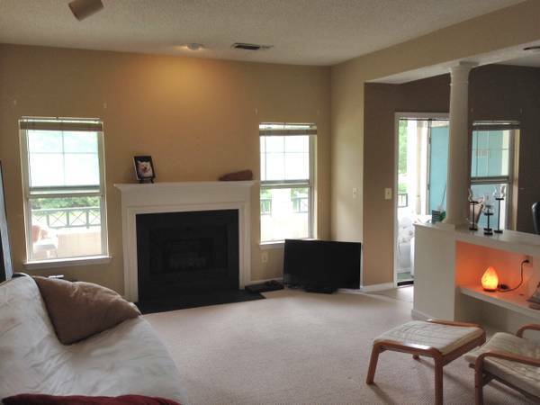 fireplace and larger deck - 12000 Taliesin Pl