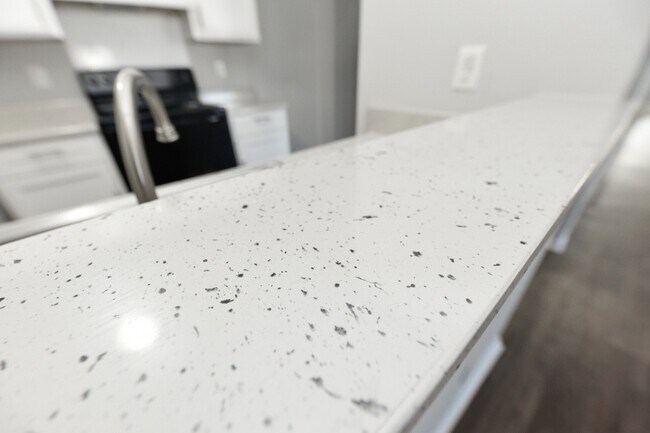 Encimeras estilo granito en la cocina - Parc Fairview