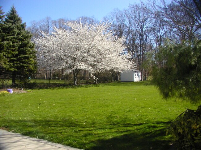 Foto del edificio - 62 Briarwood Rd