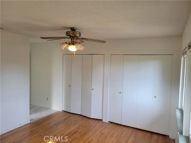 Building Photo - 3389 Celeste Dr