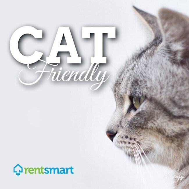 Building Photo - 1333 Toole Ave