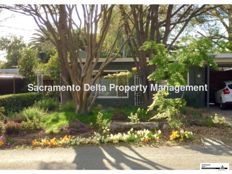 Primary Photo - Beautiful South Land Park Home!