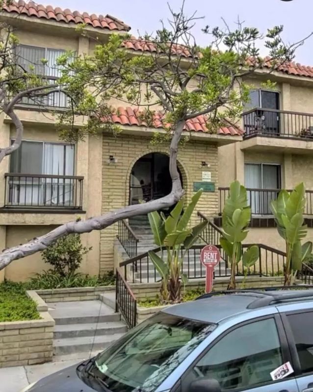 Foto principal - 4046 W 132nd St