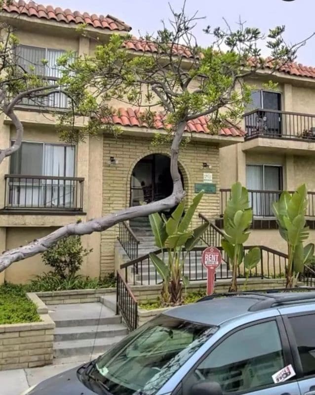 Primary Photo - 4046 W 132nd St