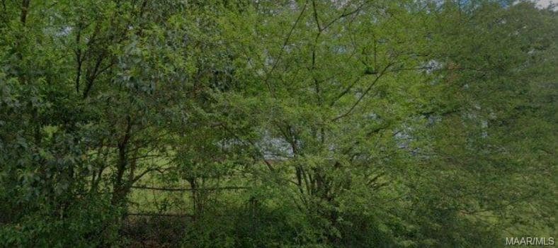 Foto del edificio - 3316 Branch St