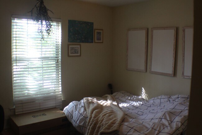 Foto del edificio - 3 Bedroom Apartment Off of South Lumpkin w...