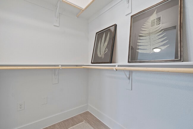 Closet - Luxe at Mercer Crossing