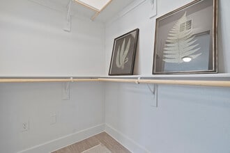 Closet - Luxe at Mercer Crossing