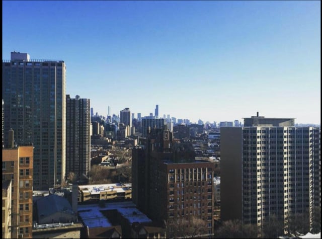 Building Photo - 3550 N Lake Shore Dr