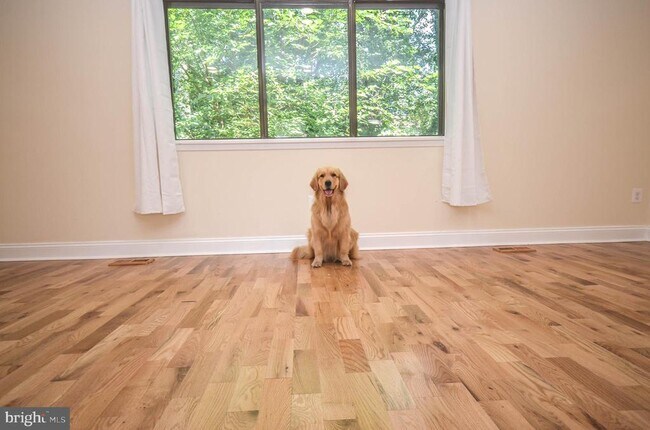 Foto del edificio - 7447 Hickory Log Cir