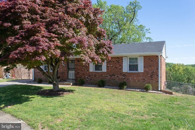Building Photo - 4003 Carozza Ct