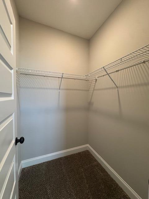 Foto del edificio - 3149 Greymoor Cir