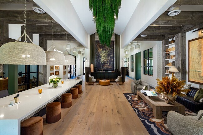 Foto del interior - Milo