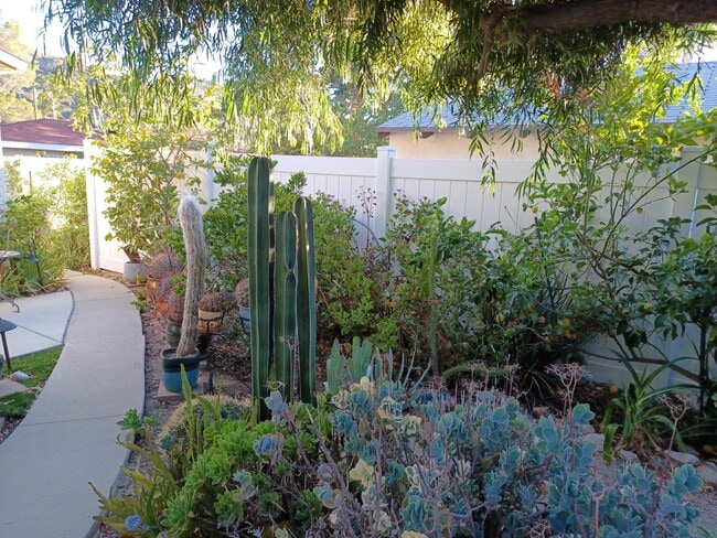 vista desde la puerta principal - 7649 Beckett St