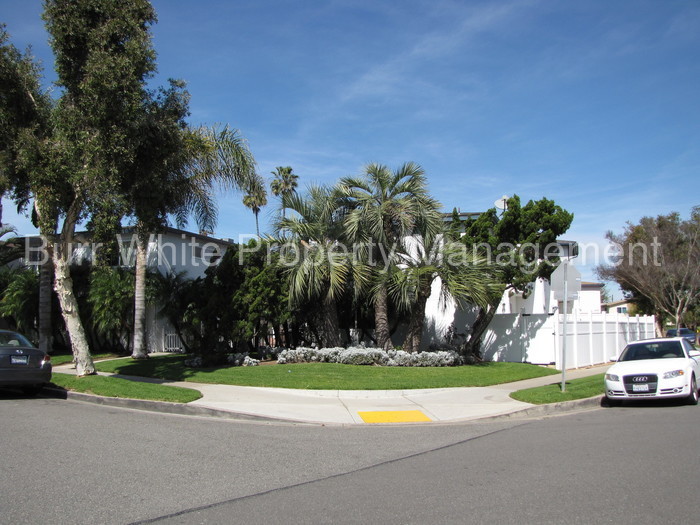 Primary Photo - 970 Valencia St