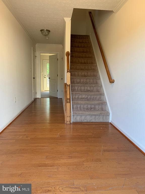 Building Photo - 23214 Westwood Ct