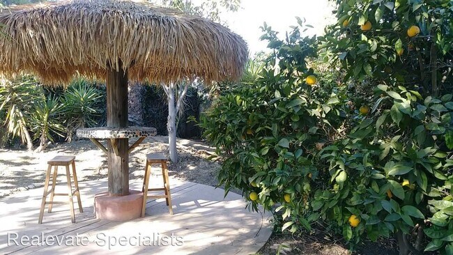 Foto del edificio - 4 br, 3 bath House - 1580 Parrot Street