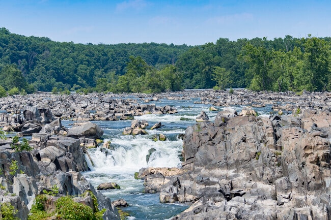 Great Falls Park is a big attraction, drawing in nature lovers from Great Falls and beyond.