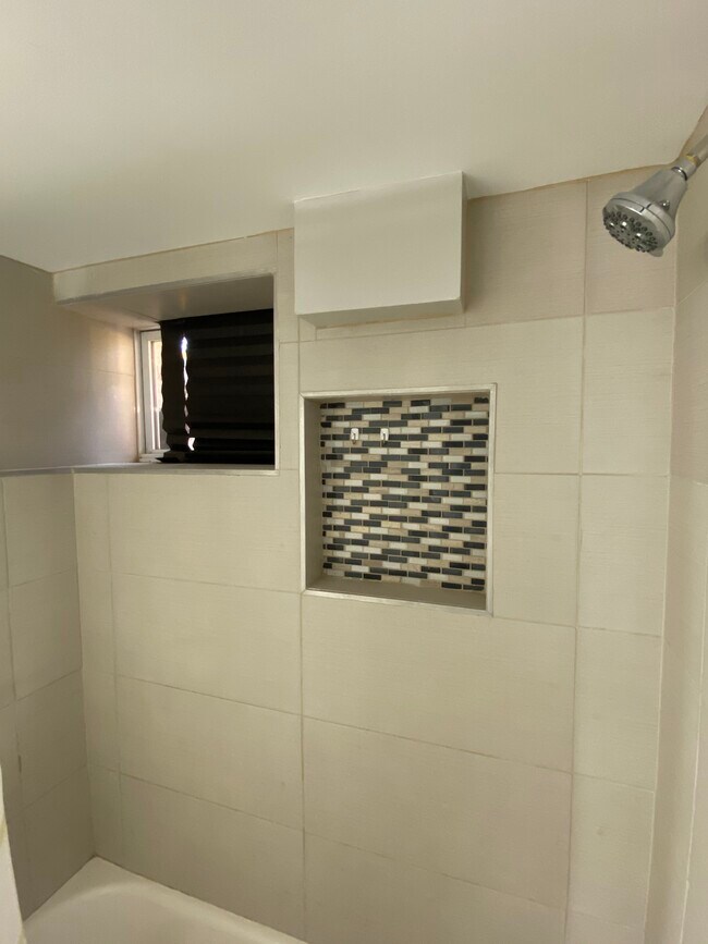 Shower - 737 Audrey Ln
