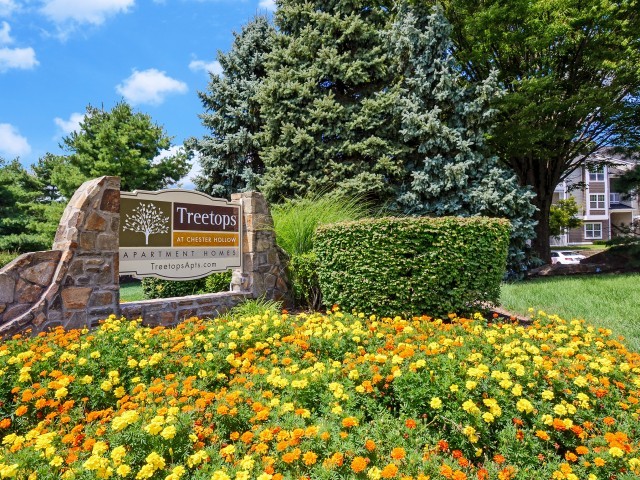 Monument Sign - Treetops at ChesterHollow