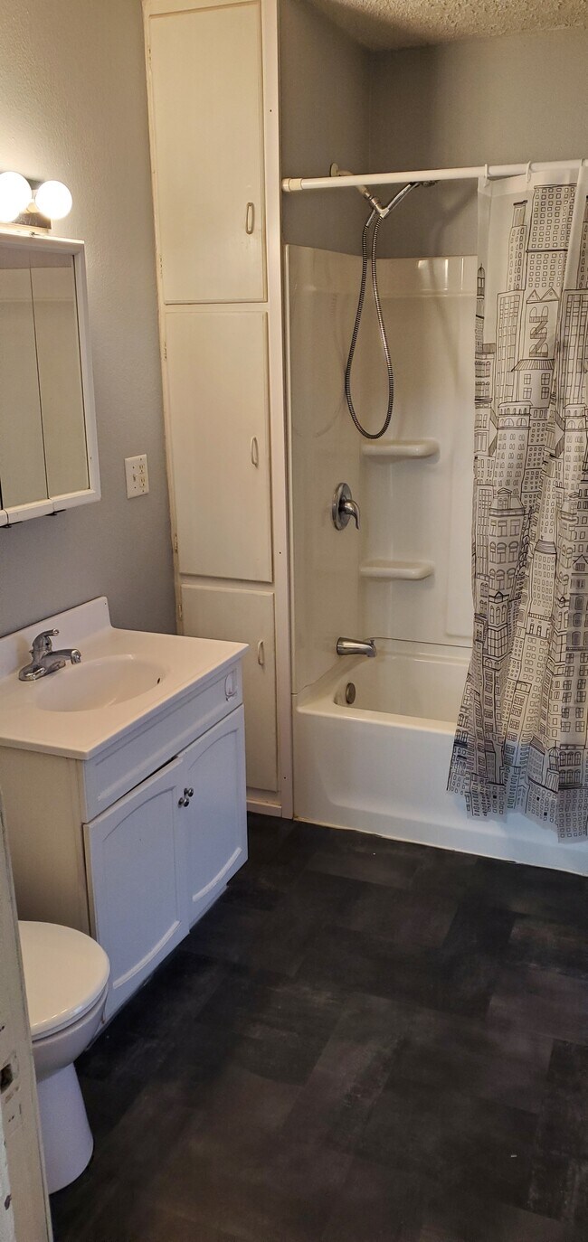 600 S Langdon St, Mitchell, SD 57301 House Rental in Mitchell, SD