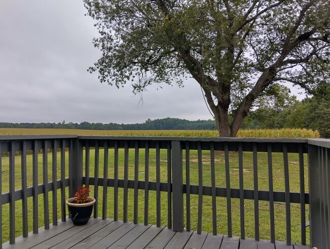 Building Photo - Adorable farmhouse ready for new long term tenants!  Available Now