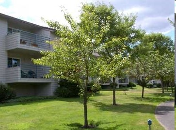 Building Photo - Garden Crest Apartments