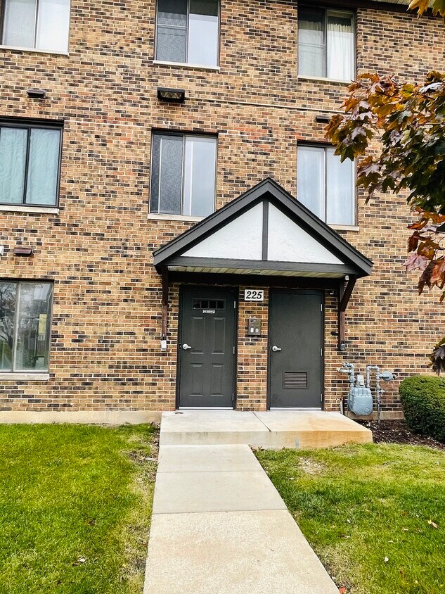 225 N Gregory St Unit 6, Aurora, IL 60504 Condo for Rent in Aurora