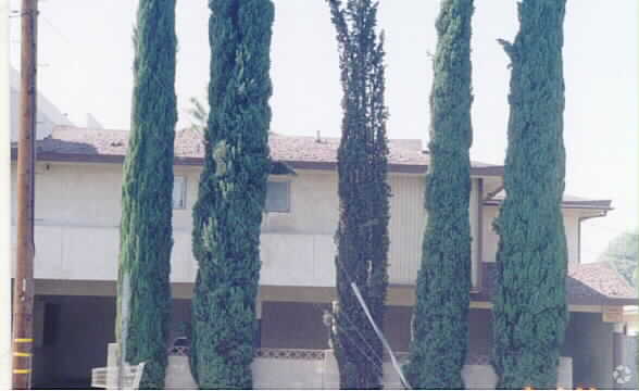 Primary Photo - 3803 Rosemead Blvd