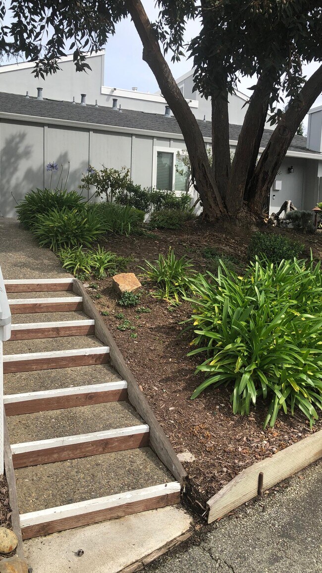 Foto del edificio - 1586 Dolphin Dr