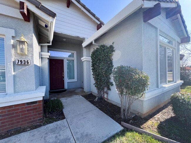 Building Photo - Newly Renovated