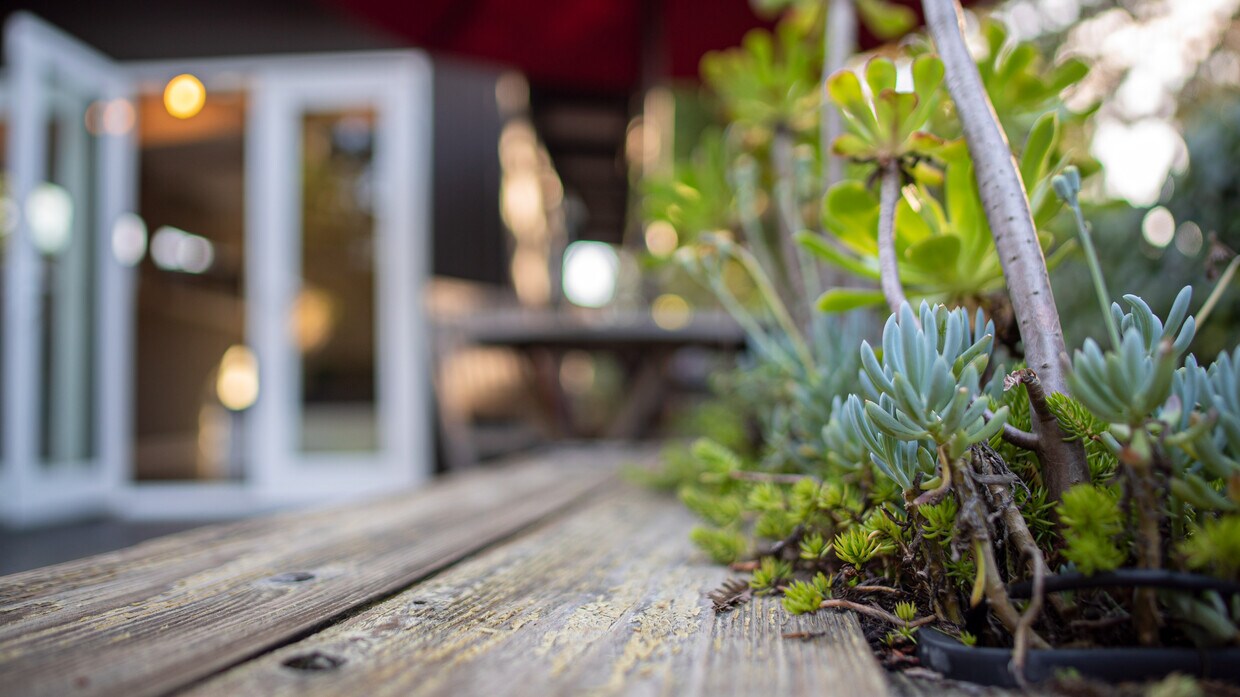 135 Greenmeadow Way, Palo Alto, CA 94306 Townhome Rentals in Palo