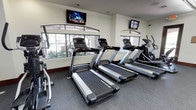 This single-story fitness center is designed to provide a focused and comfortable workout environment. The space is outfitted with a row of commercial-grade ProMaxima treadmills as its centerpiece, complemented by elliptical cross-trainers positioned along the sides, offering a well-rounded selection of cardio equipment for users of all fitness levels.

The flooring features durable rubber gym matting in a dark speckled finish, providing both safety and sound absorption during workouts. The walls are finished in a clean, neutral white tone, contributing to the bright and open feel of the space.

Natural light streams in through large windows along one wall, offering views of a landscaped outdoor area with greenery and a fence line, adding a pleasant visual element to the workout experience. Wall-mounted flat-screen televisions are positioned at eye level above the windows, allowing users to watch programming while exercising.

The ceiling is fitted with recessed lighting to supplement the natural light, ensuring the space remains well-lit throughout the day. The overall ambiance is clean, functional, and inviting, making it a practical fitness facility for regular use.