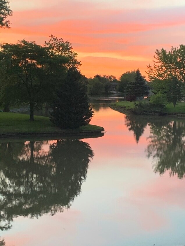 19703 Crescent Ave Unit Na, Lynwood, IL 60411 Condo for Rent in